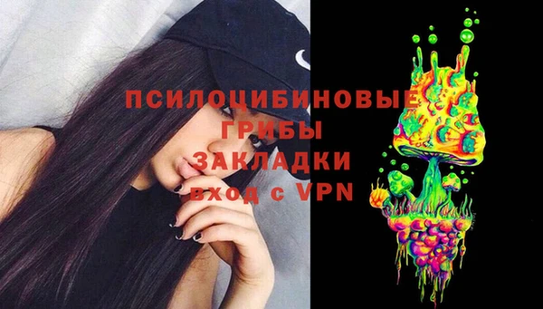 ПСИЛОЦИБИНОВЫЕ ГРИБЫ Алексеевка