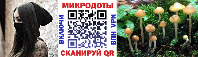 купить закладку  KRAKEN ССЫЛКА  Галлюциногенные грибы мухоморы  Новокубанск 