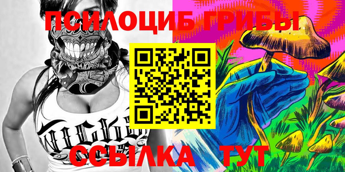Галлюциногенные грибы Psilocybine cubensis Новокубанск